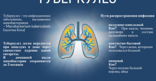 24 марта – Всемирный день борьбы с туберкулезом